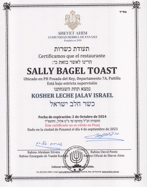 sally bagel toast